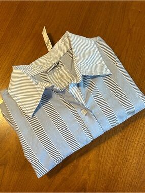 Aerie Women’s Size M Blue Striped Oversized Boyfriend Button Down Shirt NWTs